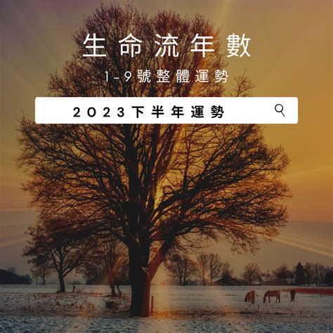 2023生命靈數流年|V生命靈數／ 2023下半年【整體運勢】分析&生命流年。